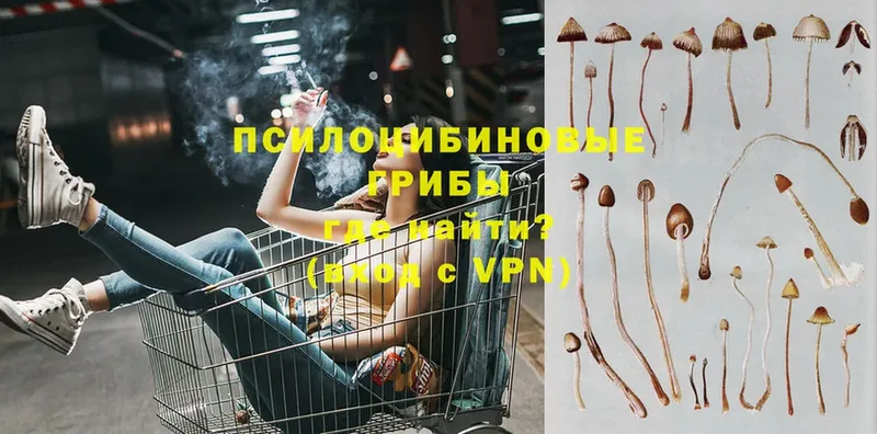 Галлюциногенные грибы ЛСД  Кстово 